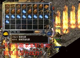 �������¼��ְҵ��ο�������ս����