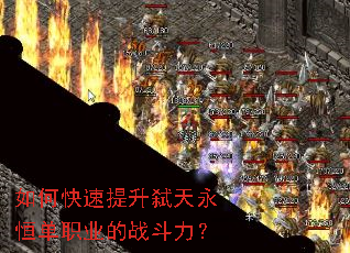 ��ο�������߱�����㵥ְҵ��ս������