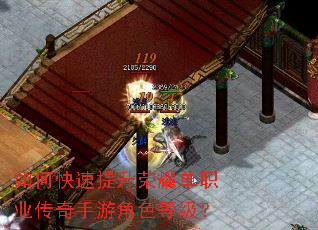 ��ο���������ҫ��ְҵ�������ν�ɫ�ȼ���