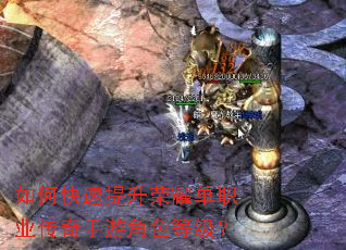 ��ο���������ҫ��ְҵ�������ν�ɫ�ȼ���