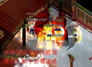 ������Ϸ��ʼ��������Щ�����ֱؿ�����