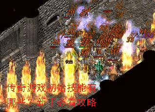 ������Ϸ��ʼ��������Щ�����ֱؿ�����