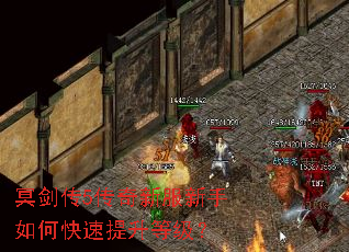 ڤ����5�����·�������ο��������ȼ���