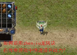 �������zhenjiu������ڴ�����Ϸ�п�������ս����