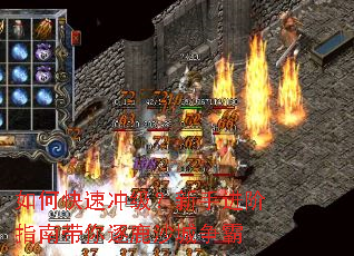 ��ο��ٳ弶�����ֽ���ָ�ϴ�����¹ɳ������