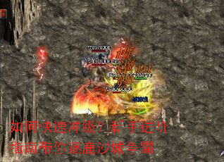 ��ο��ٳ弶�����ֽ���ָ�ϴ�����¹ɳ������