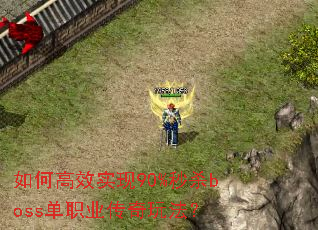 ��θ�Чʵ��90%��ɱboss��ְҵ�����淨��