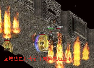 ������Ѫ����������ο������֣�