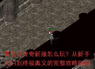 ���ƾ������·���ô�棿���������ŵ��ռ��������������ָ��