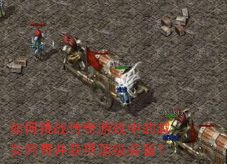 �����ս������Ϸ�е�ԽŮ���ಢ��ö���װ����