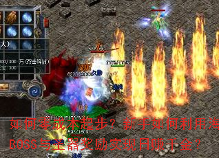 �����ɱ��𲽣�����������ú���BOSS��ʥ������ʵ����׬ǧ��