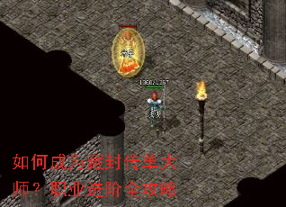 ��γ�Ϊ�ط⴫����ʦ��ְҵ����ȫ����