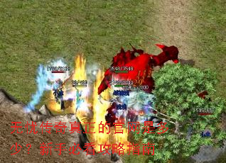 ���Ǵ��������Ĺ����Ƕ��٣����ֱؿ�����ָ��
