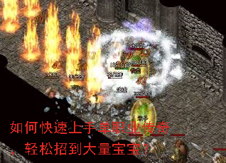��ο������ֵ�ְҵ���棬�����е�����������
