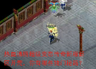 热血沸腾超级变态传奇新服新区开荒,你有哪些独门秘籍? 热血沸腾超级变态传奇新服新区开荒,你有哪些独门秘籍?
