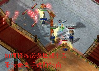 如何修炼必杀回路?新服传奇高手进阶指南 如何修炼必杀回路?新服传奇高手进阶指南