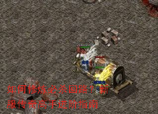 如何修炼必杀回路?新服传奇高手进阶指南 如何修炼必杀回路?新服传奇高手进阶指南
