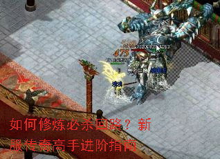 如何修炼必杀回路?新服传奇高手进阶指南 如何修炼必杀回路?新服传奇高手进阶指南