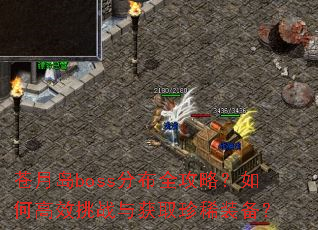 ���µ�boss�ֲ�ȫ���ԣ���θ�Ч��ս���ȡ��ϡװ����