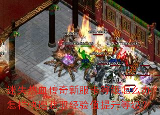 迷失热血传奇新服卡等级怎么办?怎样快速获取经验值提升等级? 迷失热血传奇新服卡等级怎么办?怎样快速获取经验值提升等级?