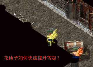花仙子如何快速提升等级? 花仙子如何快速提升等级?