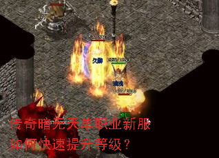 传奇暗无天单职业新服如何快速提升等级? 传奇暗无天单职业新服如何快速提升等级?