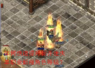 如何快速提升新开迷失单职业新服角色等级? 如何快速提升新开迷失单职业新服角色等级?
