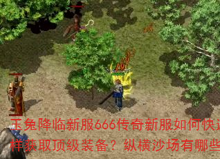 玉兔降临新服666传奇新服如何快速升级?怎样获取顶级装备?纵横沙场有哪些制胜秘诀? 玉兔降临新服666传奇新服如何快速升级?怎样获取顶级装备?纵横沙场有哪些制胜秘诀?