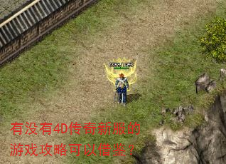 有没有4D传奇新服的游戏攻略可以借鉴? 有没有4D传奇新服的游戏攻略可以借鉴?