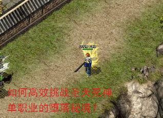 如何高效挑战圣天死神单职业的堕落秘境? 如何高效挑战圣天死神单职业的堕落秘境?