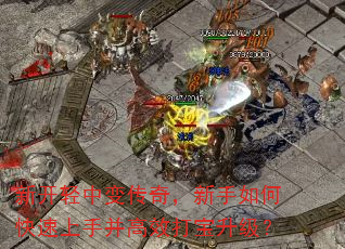 新开轻中变传奇,新手如何快速上手并高效打宝升级? 新开轻中变传奇,新手如何快速上手并高效打宝升级?