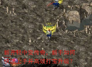 新开轻中变传奇,新手如何快速上手并高效打宝升级? 新开轻中变传奇,新手如何快速上手并高效打宝升级?