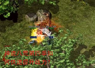 神迹八荒第四季如何快速提升战力? 神迹八荒第四季如何快速提升战力?