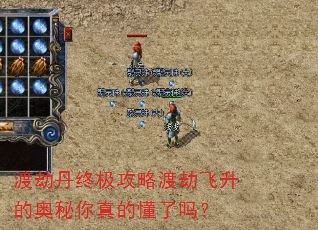渡劫丹终极攻略渡劫飞升的奥秘你真的懂了吗? 渡劫丹终极攻略渡劫飞升的奥秘你真的懂了吗?