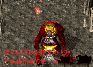 渡劫丹终极攻略渡劫飞升的奥秘你真的懂了吗? 渡劫丹终极攻略渡劫飞升的奥秘你真的懂了吗?