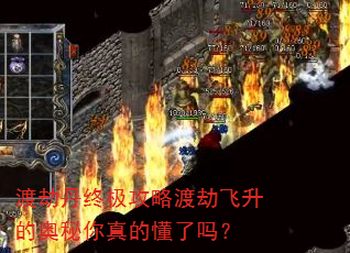 渡劫丹终极攻略渡劫飞升的奥秘你真的懂了吗? 渡劫丹终极攻略渡劫飞升的奥秘你真的懂了吗?