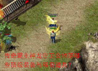 传奇霸主神龙守卫会掉落哪些顶级装备与稀有道具? 传奇霸主神龙守卫会掉落哪些顶级装备与稀有道具?