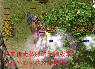 热血传奇私服的元神版本怎么玩?有哪些攻略技巧? 热血传奇私服的元神版本怎么玩?有哪些攻略技巧?