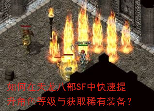如何在天龙八部SF中快速提升角色等级与获取稀有装备? 如何在天龙八部SF中快速提升角色等级与获取稀有装备?