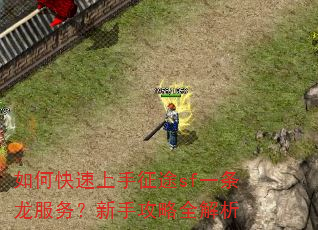 如何快速上手征途sf一条龙服务?新手攻略全解析 如何快速上手征途sf一条龙服务?新手攻略全解析