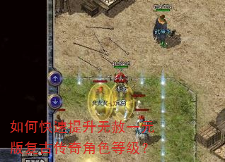 如何快速提升无赦一元版复古传奇角色等级? 如何快速提升无赦一元版复古传奇角色等级?