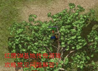 红鹰GM基地传奇游戏攻略常见问题解答? 红鹰GM基地传奇游戏攻略常见问题解答?