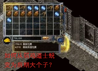 如何从弱鸡道士蜕变为后期大个子? 如何从弱鸡道士蜕变为后期大个子?