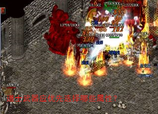 ��ʿ����Ӧ����ѡ����Щ���ԣ�