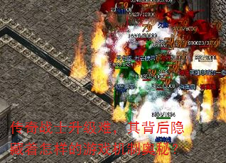 ����սʿ�����ѣ��䱳����������������Ϸ���ư��أ�
