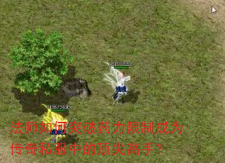 法师如何突破药力限制成为传奇私服中的顶尖高手? 法师如何突破药力限制成为传奇私服中的顶尖高手?