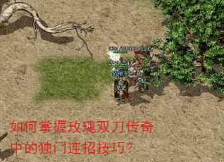 如何掌握玫瑰双刀传奇中的独门连招技巧? 如何掌握玫瑰双刀传奇中的独门连招技巧?
