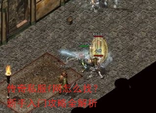 传奇私服f网怎么找?新手入门攻略全解析 传奇私服f网怎么找?新手入门攻略全解析