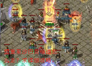 盟重至沙巴克暗道怎么走?求详细攻略。 盟重至沙巴克暗道怎么走?求详细攻略。