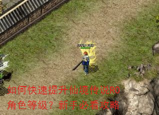 如何快速提升仙境传说RO角色等级?新手必看攻略 如何快速提升仙境传说RO角色等级?新手必看攻略